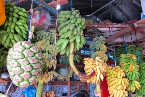 Lokální trh v Malé